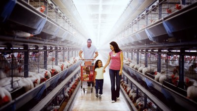 Đầu Độc: Sự Thật Bẩn Thỉu Về Thực Phẩm Poisoned: The Dirty Truth About Your Food
