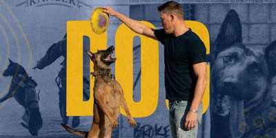 Dog-Dog