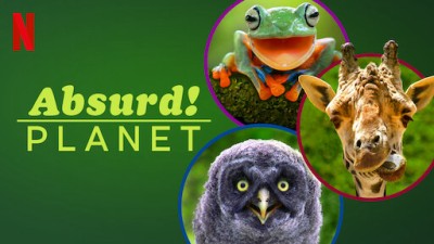 Hành Tinh Kỳ Quái-Absurd Planet
