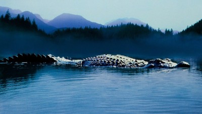 Hồ Cá Sấu-Lake Placid