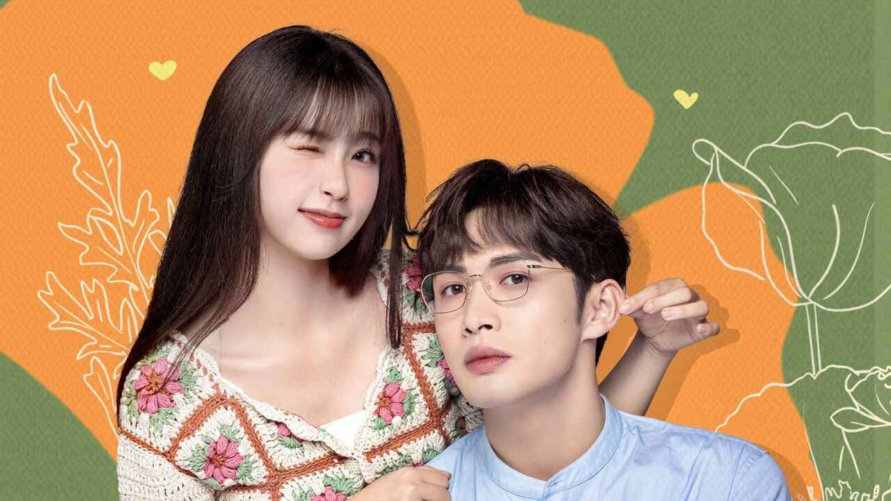 Khu Rừng Nhỏ Của Hai Người - A Romance Of The Little Forest