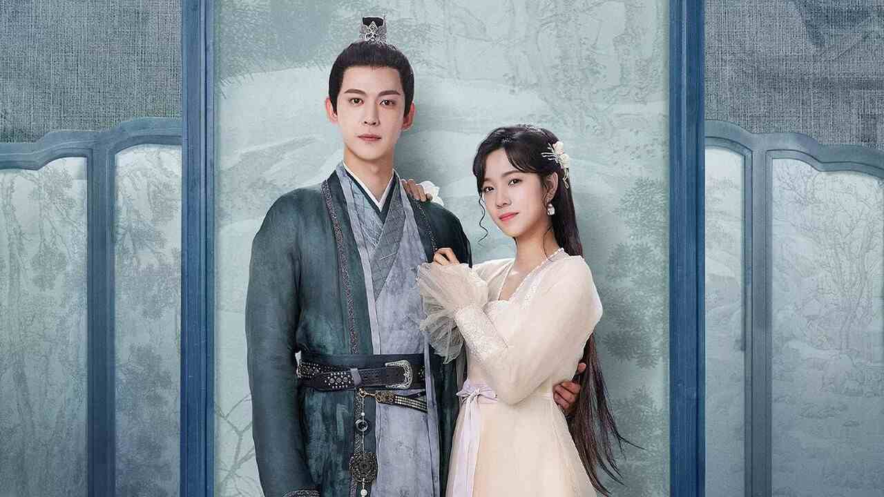 Liễu Diệp Trích Tinh Thần - My Wife's Double Life