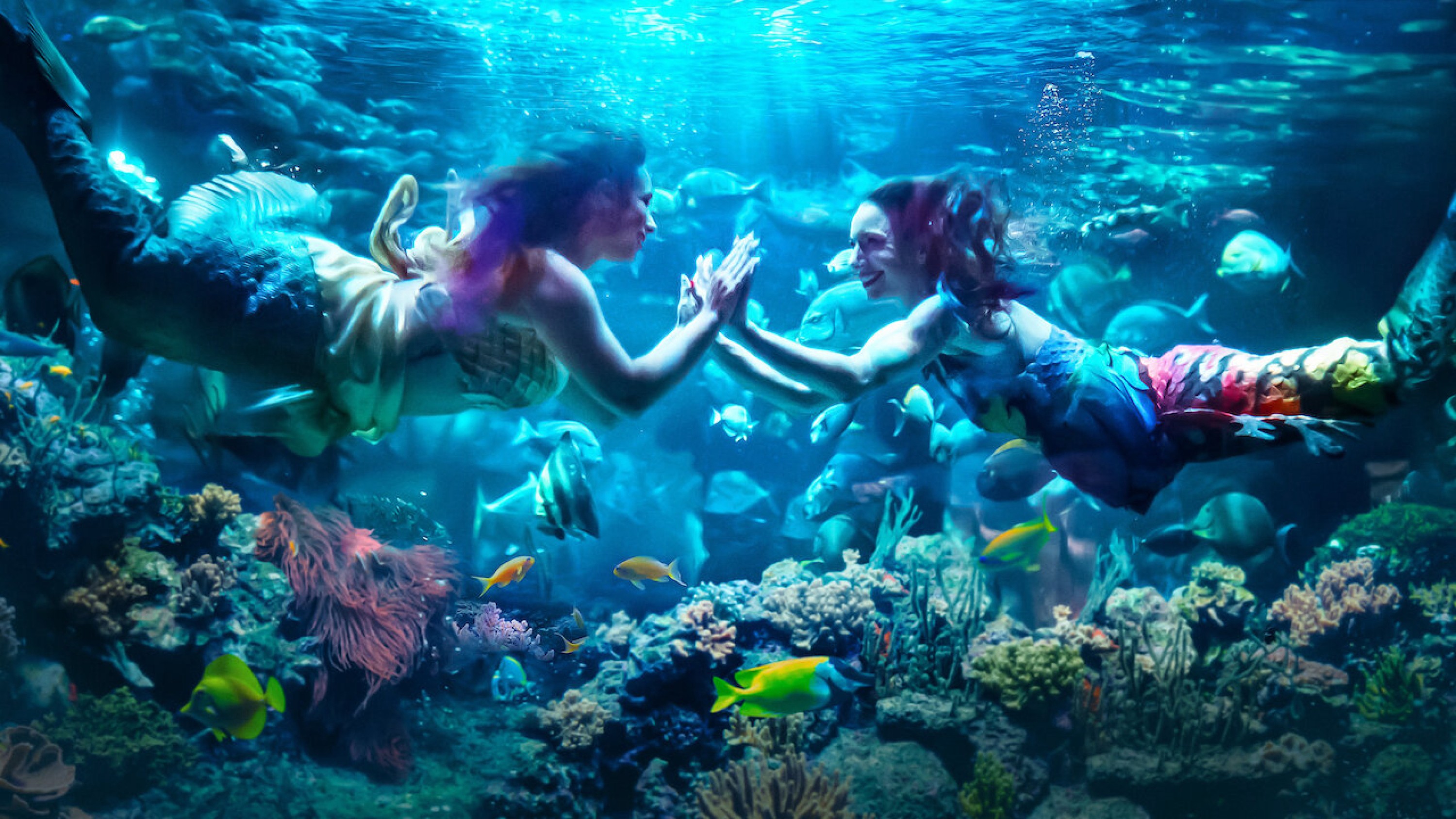 MerPeople: Nghề Nhân Ngư MerPeople