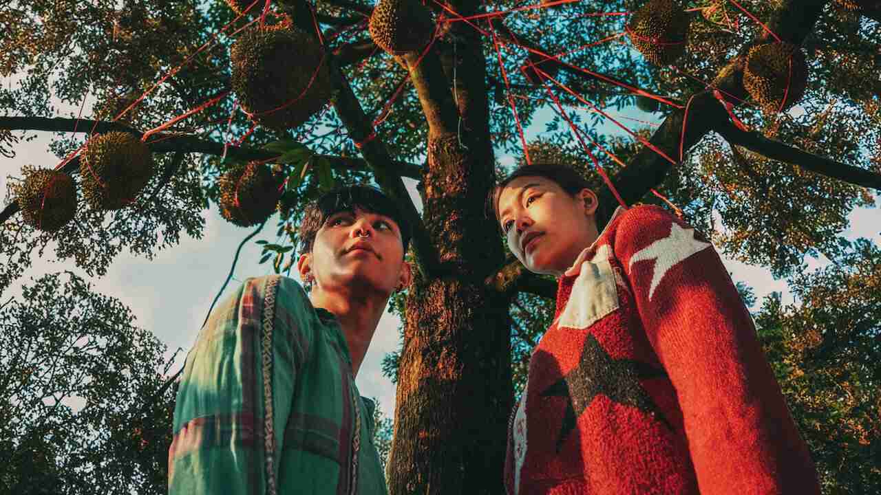 Thiên Đường Quả Báo - The Paradise of Thorns
